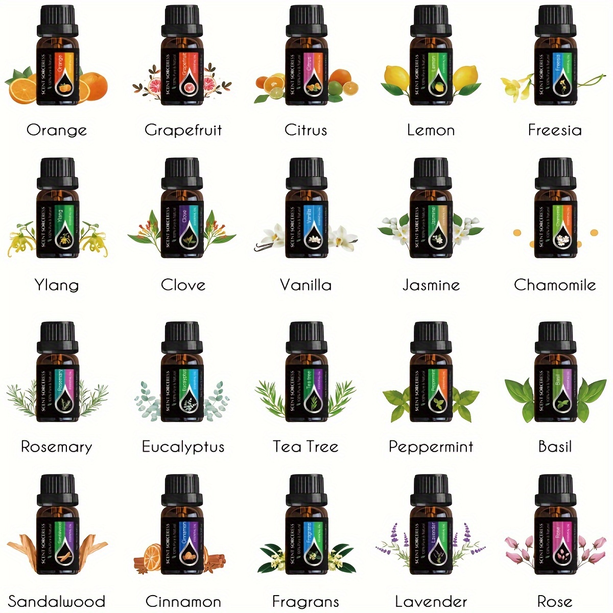 20pcs/set Essential Oil Set La - Perfume Fragrance Oil 评论和价格